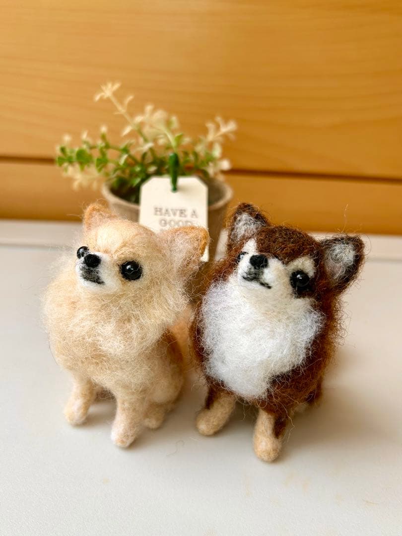 みー♪チワワちゃん 犬 羊毛フェルト ハンドメイド