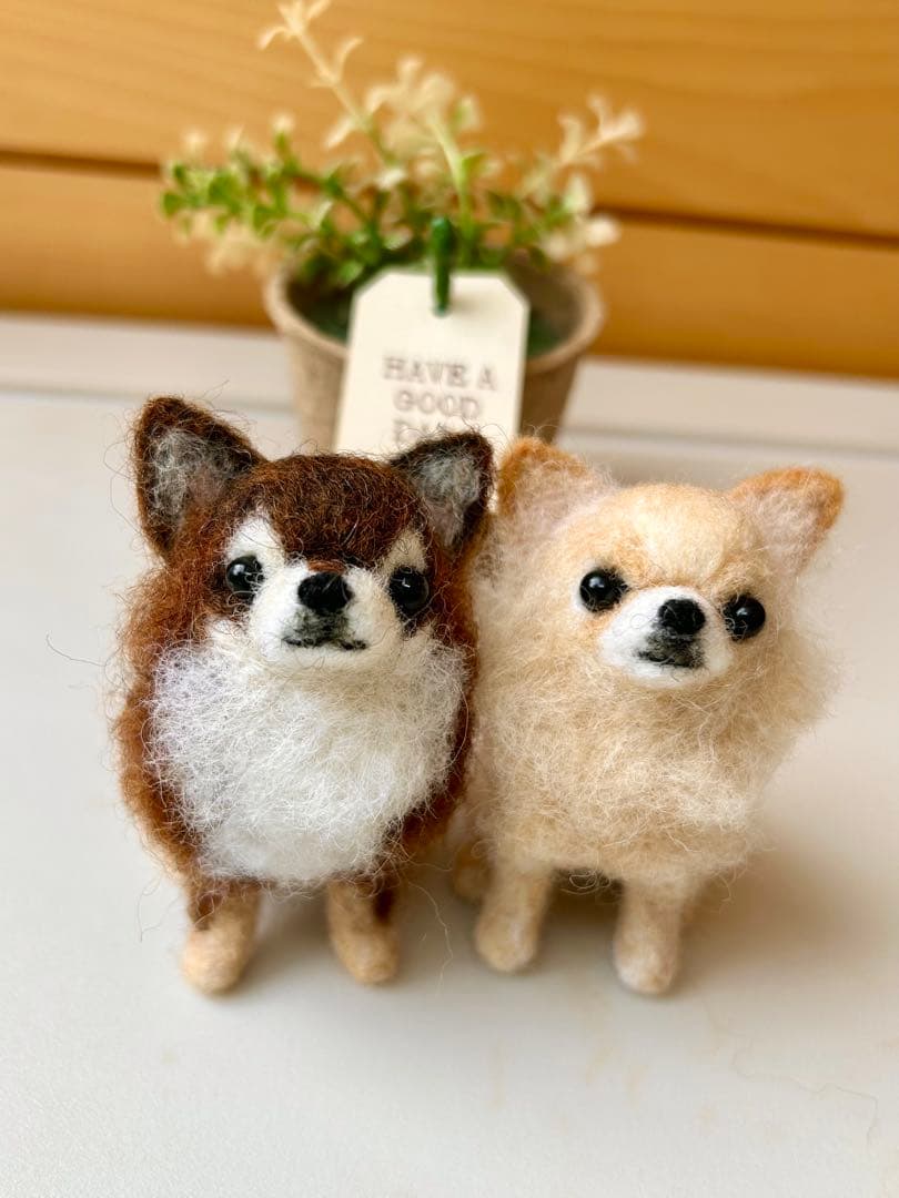 みー♪チワワちゃん 犬 羊毛フェルト ハンドメイド