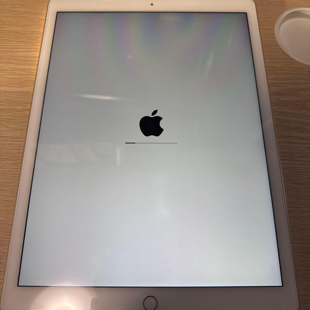 r*s様 ipad pro 初代 12.9 a1652 綺麗です。