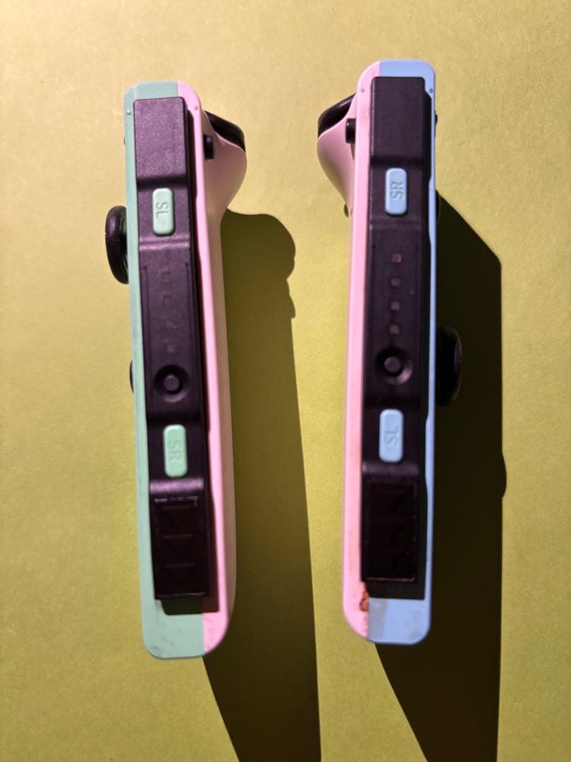 Nintendo Switch あつまれ どうぶつの森セット　ソフトなし箱付き