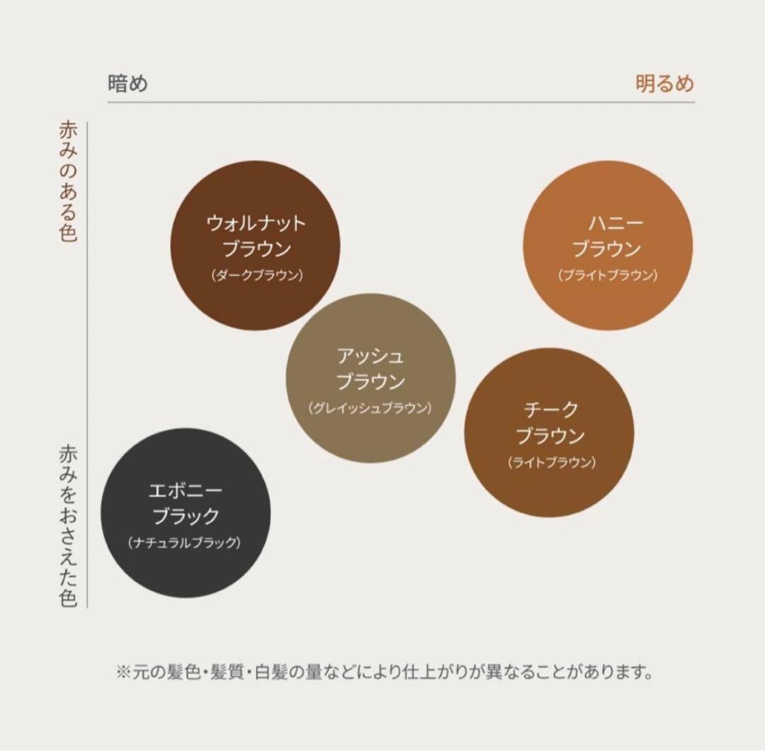 LPLP ルプルプ カラートリートメント アッシュブラウン 170g 2個セット