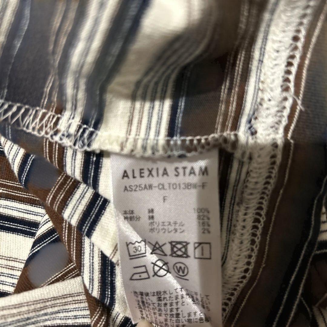 【ALEXIASTAM】美品 ストライプポロシャツ サイズFアレシアスタン