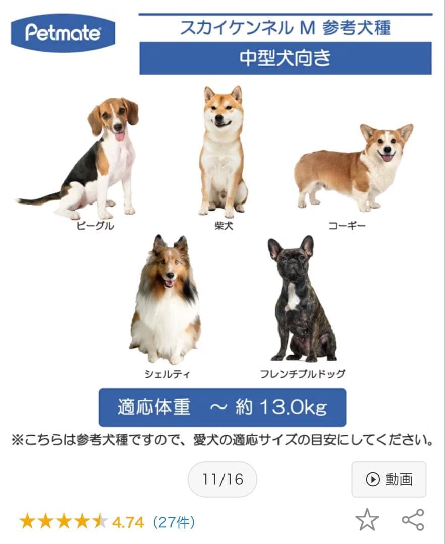 美品　Petmate バリケンネル　スカイケンネル　クレート　Mサイズ