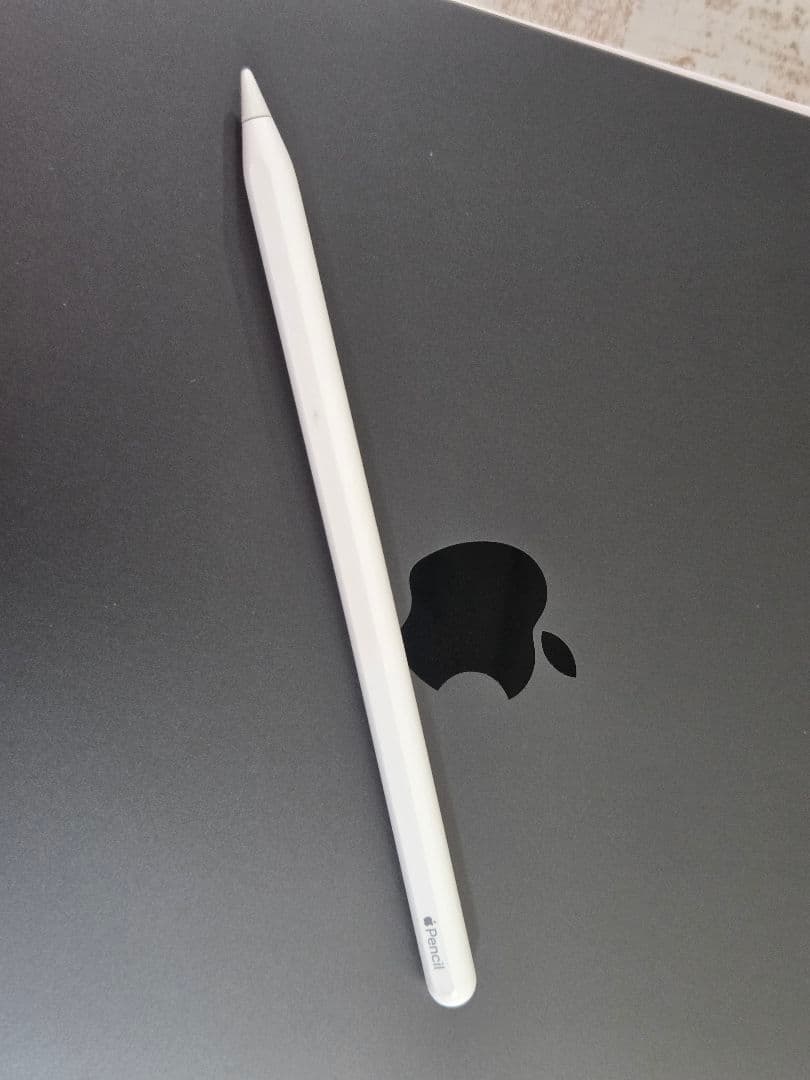 iPad Pro 第5世代 12.9 WiFi+Cellular 256GB
