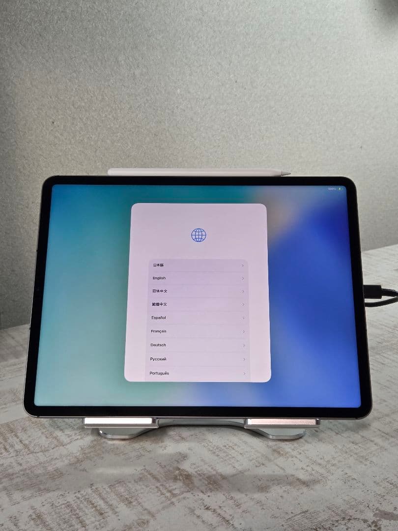 iPad Pro 第5世代 12.9 WiFi+Cellular 256GB