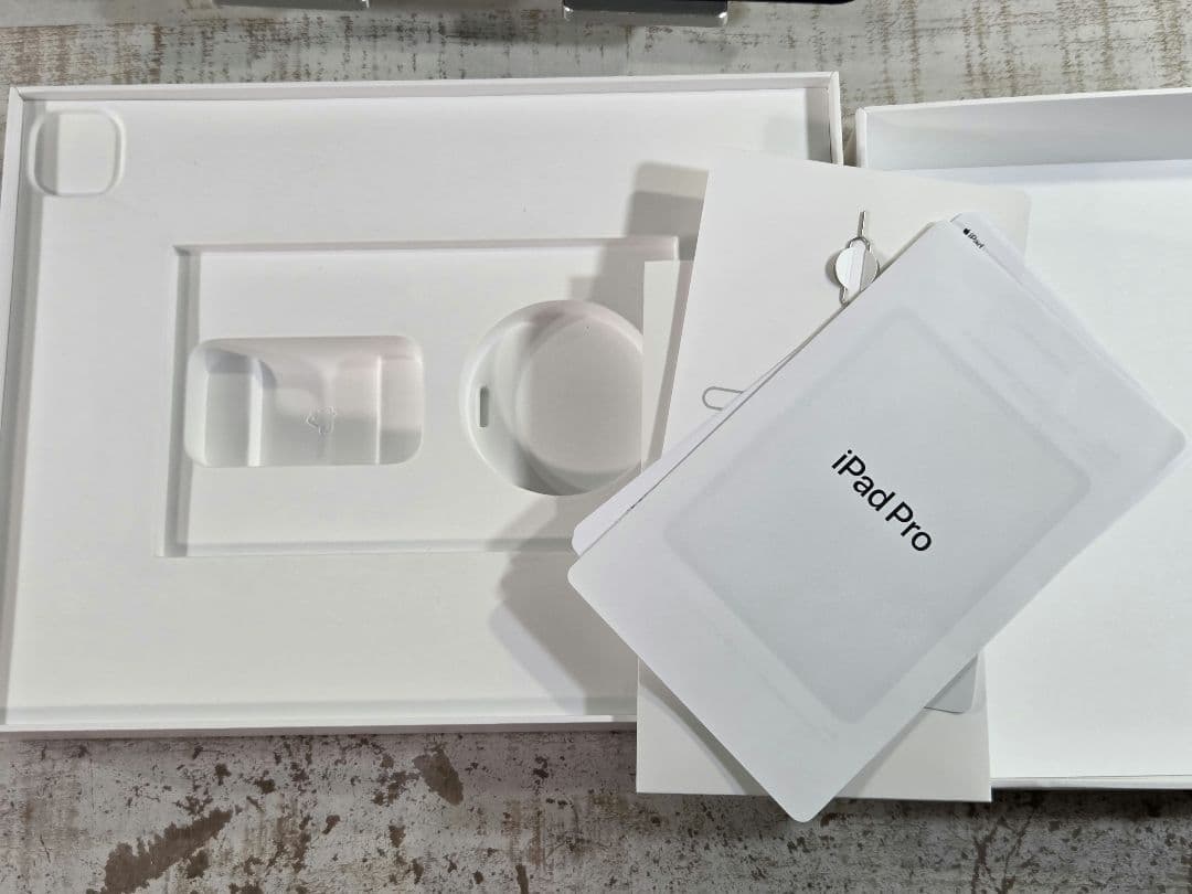 iPad Pro 第5世代 12.9 WiFi+Cellular 256GB