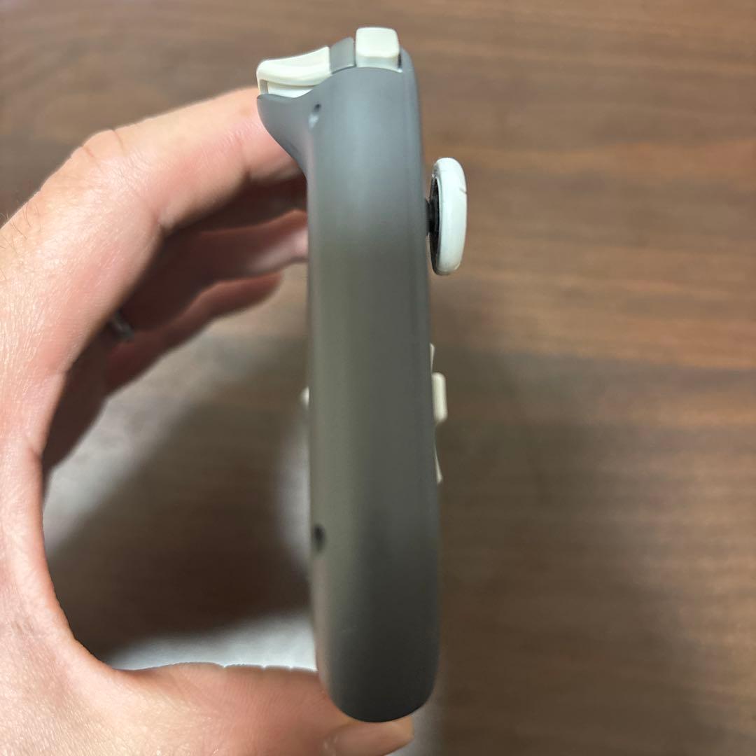 Nintendo Switch Lite グレー　箱・ハードケース付