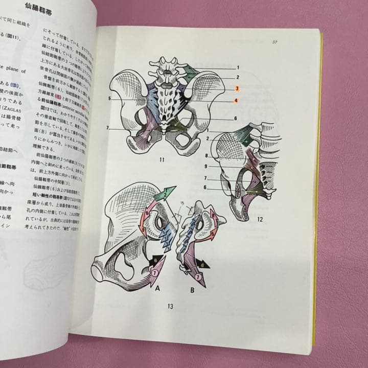 関節の生理学 1〜3(上肢、下肢、体幹・脊柱)3冊セット