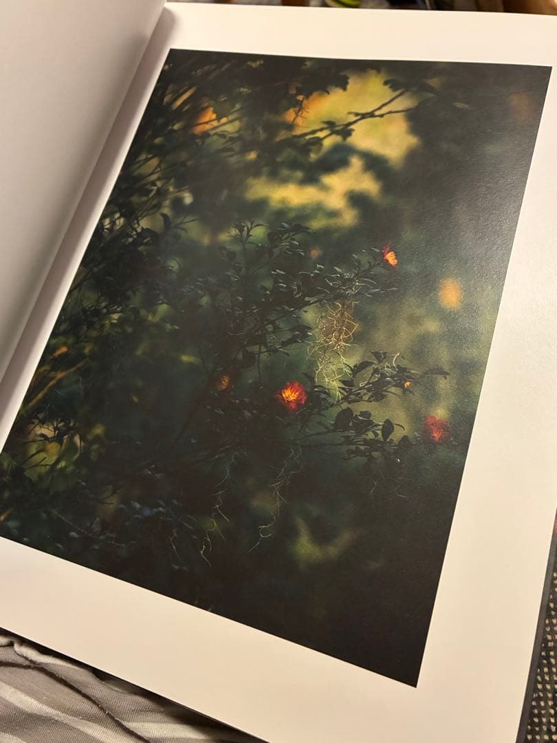 Blackwater  初版　Robbie Lawrence