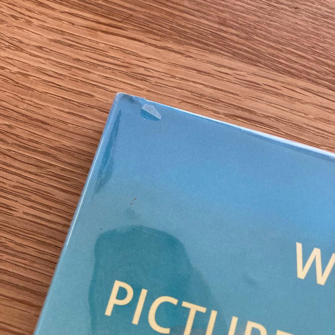 アート・デザイン・音楽 Wim Wenders/Pictures from the Surface of