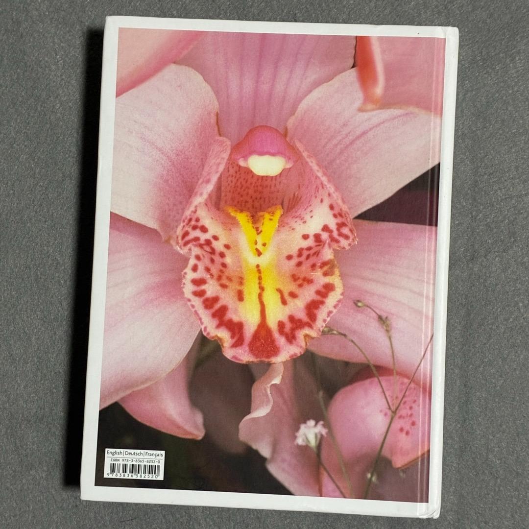 Araki 荒木経惟 作品集 タッシェン【新品】