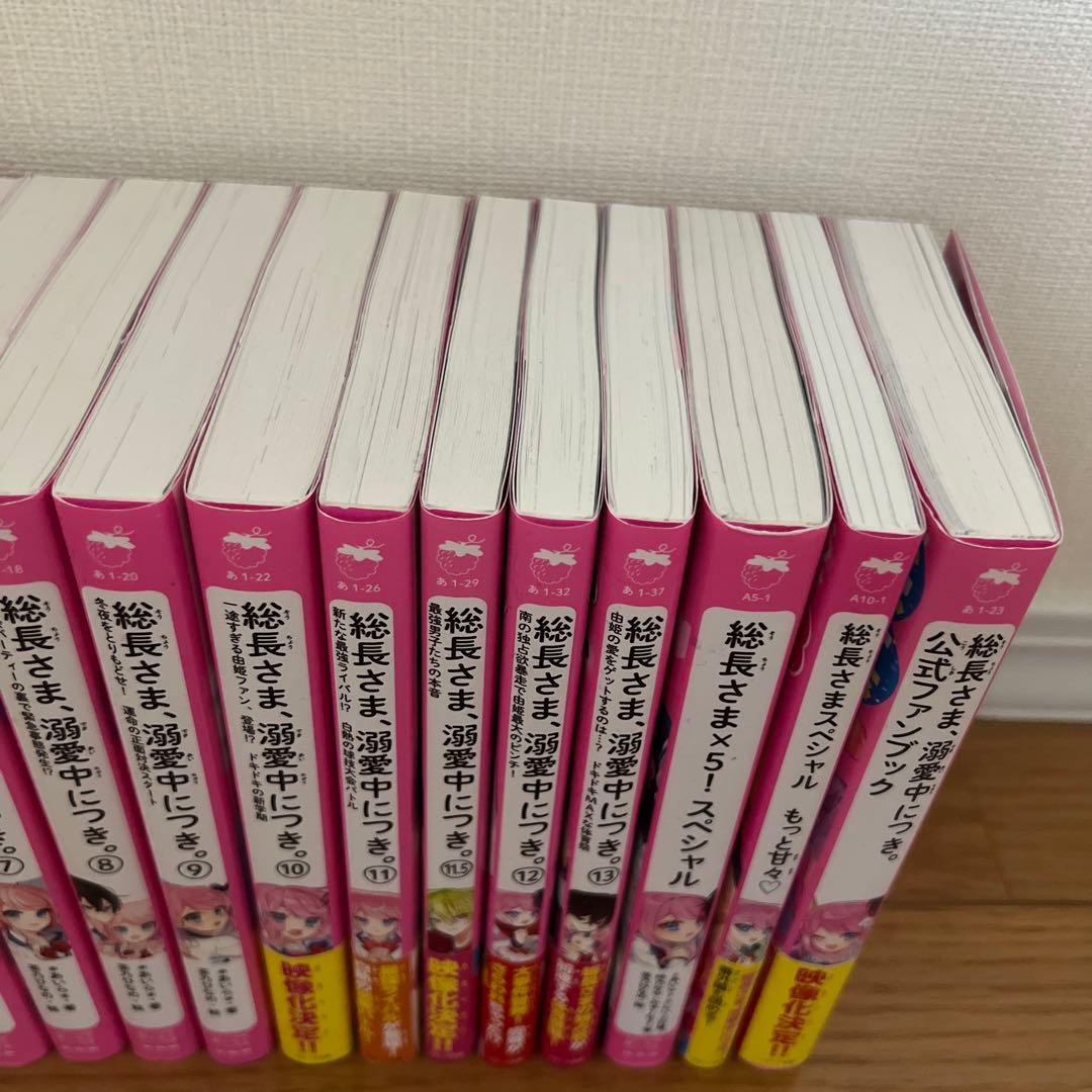 総長さま、溺愛中につき。　17冊セット