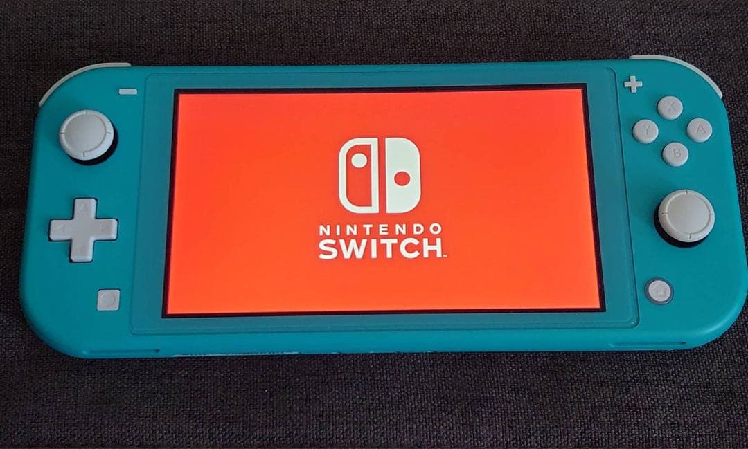 動作確認済みNintendo Switch Lite ニンテンドースイッチライト