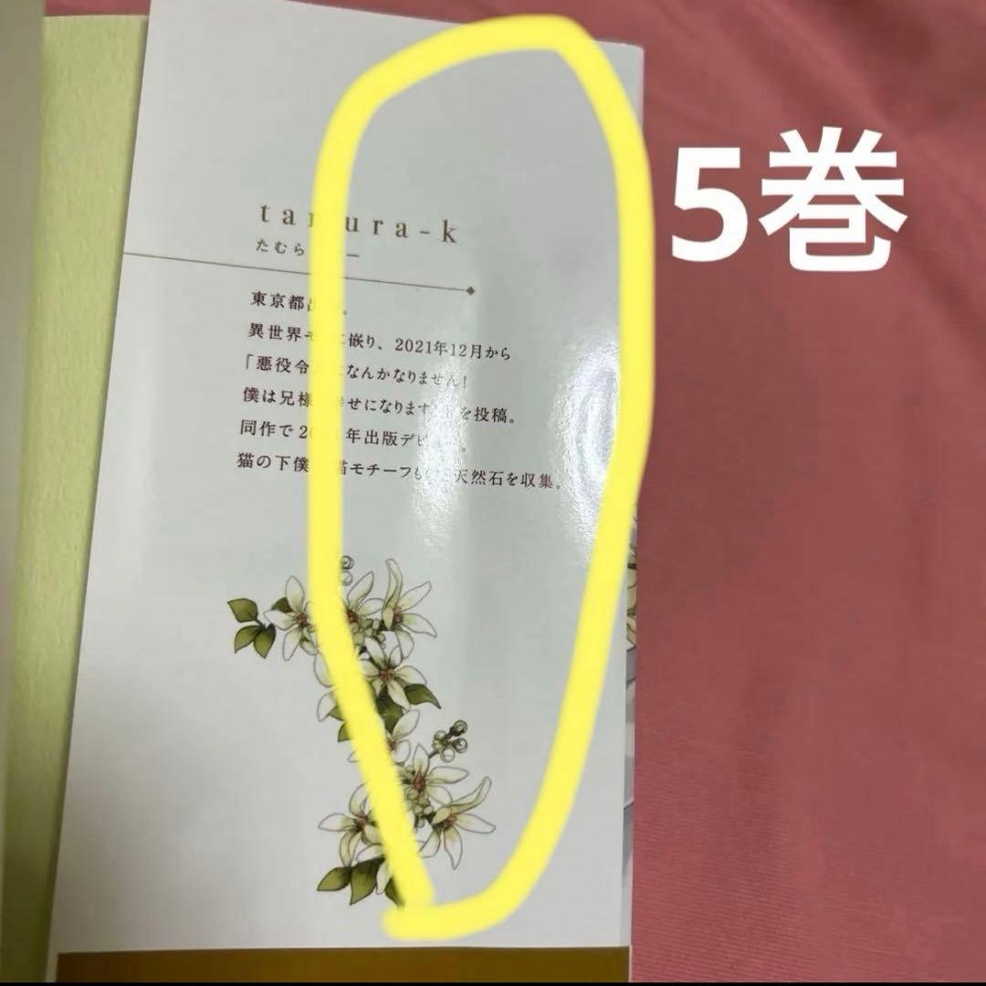 悪役令息になんかなりません！僕は兄様と幸せになります！ 1〜5