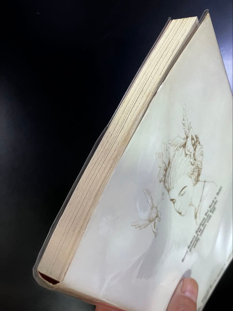 カネコアツシ ロックンロール以外は全部嘘 ATSUSHI KANEKO B12