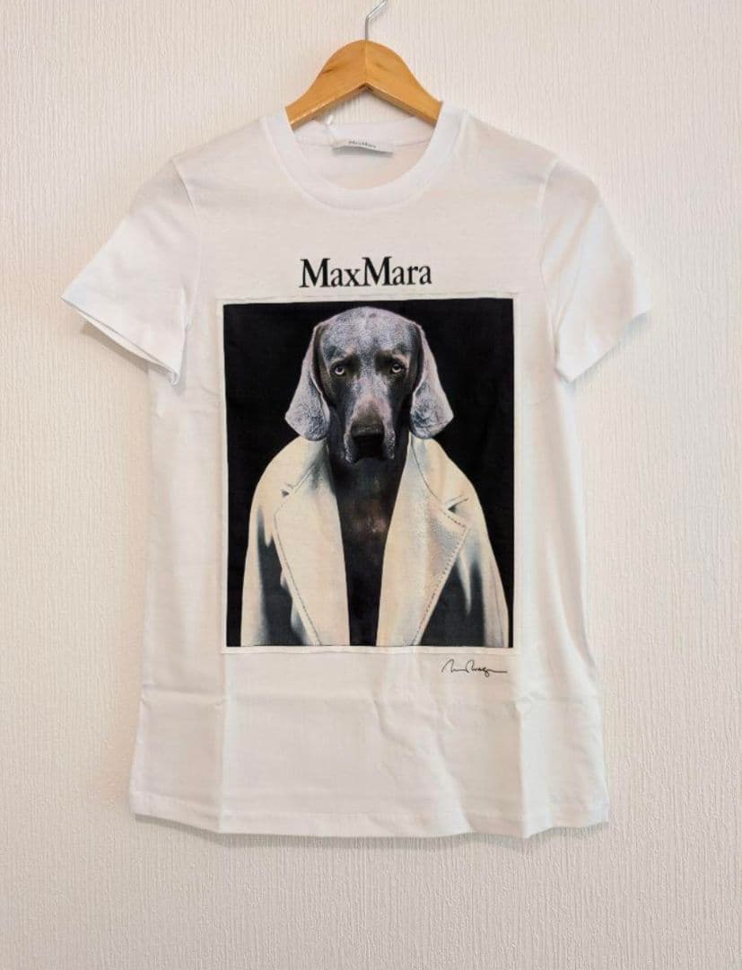 【新品未使用】MAX MARA CIPRIA[チプリア] ピュア Tシャツ