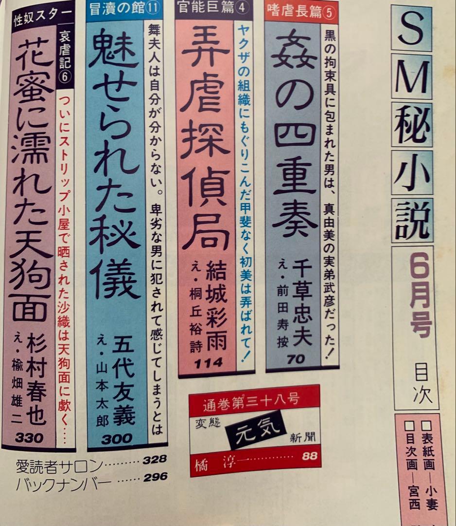 SM秘小説2冊セット