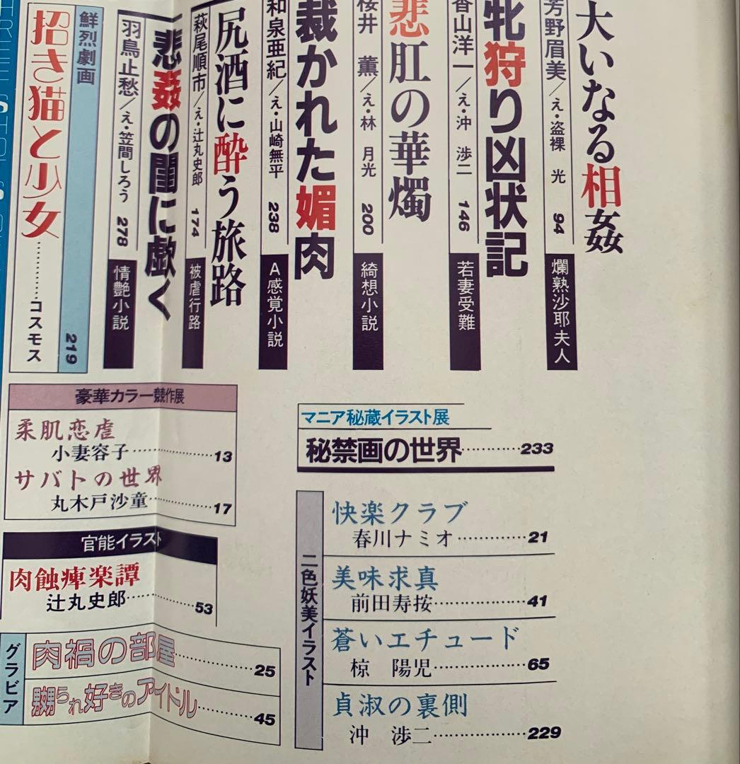 SM秘小説2冊セット