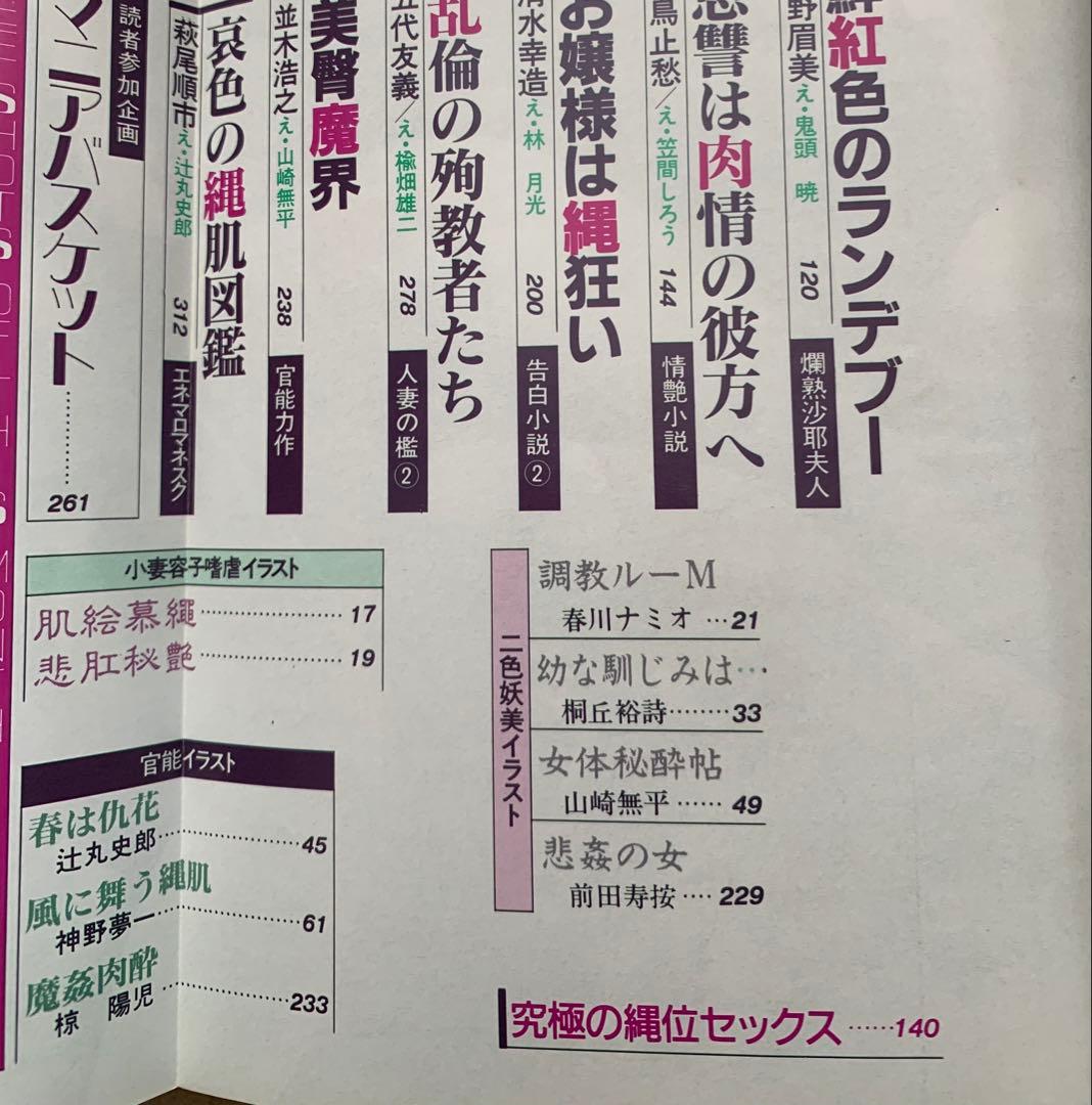 SM秘小説2冊セット