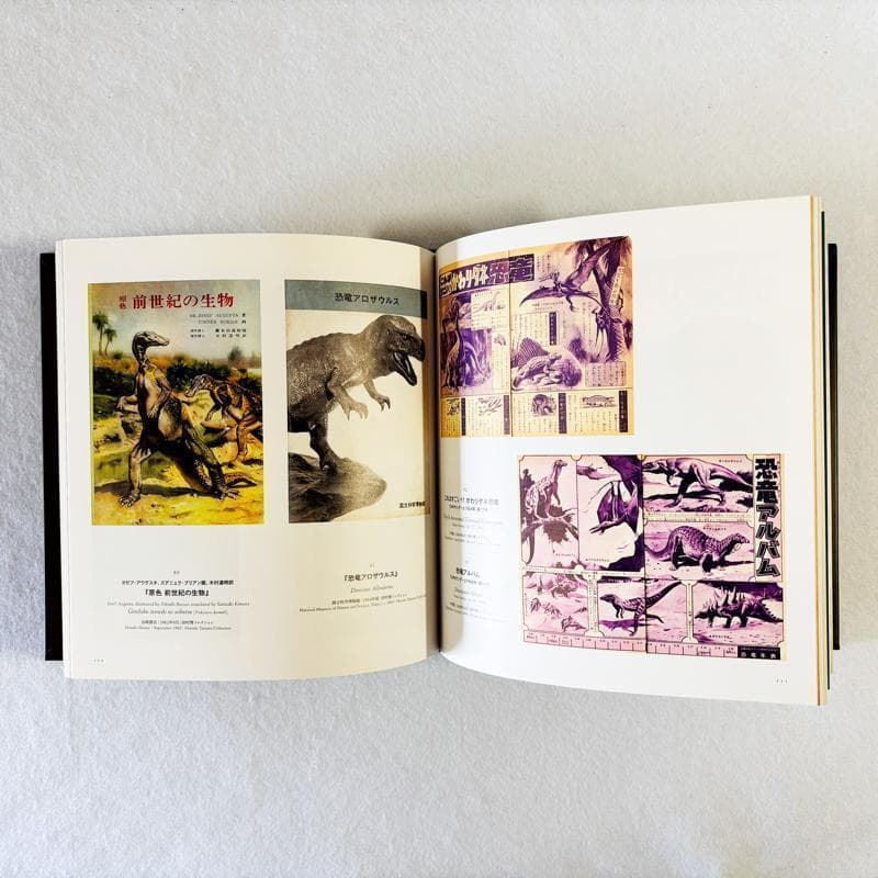 【美品】図録 特別展 『恐竜図鑑 失われた世界の想像/創造 』