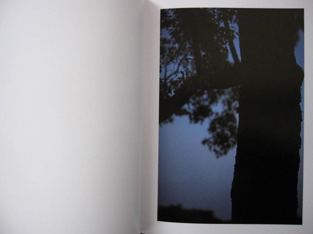 The May Sun / Terri Weifenbach 1000部限定