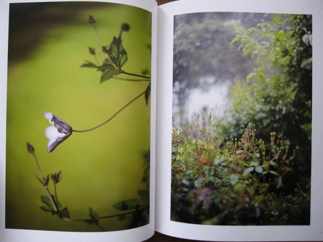 The May Sun / Terri Weifenbach 1000部限定