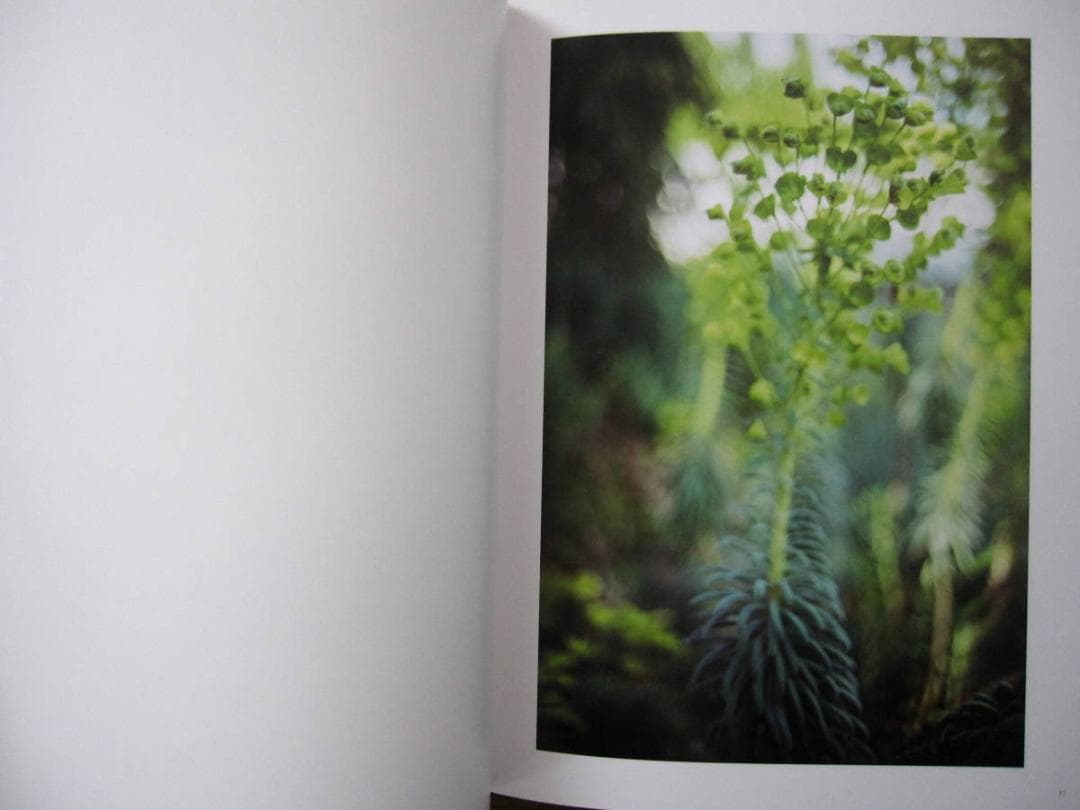 The May Sun / Terri Weifenbach 1000部限定