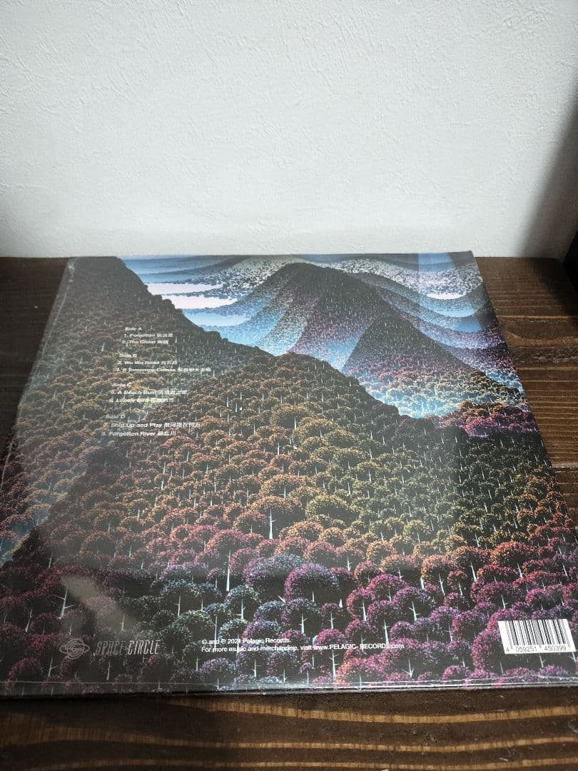 【未開封】Wang wen / 100000 Whys　LP