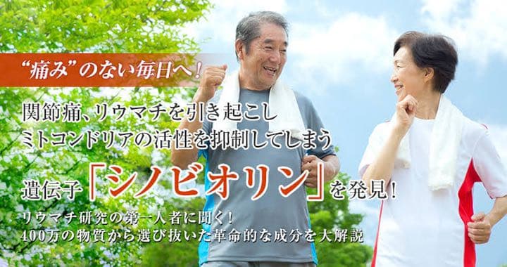 アンチノビン(抗リウマチ)節々の痛み、エイジングケア、代謝向上、新品未開封