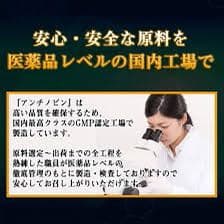 アンチノビン(抗リウマチ)節々の痛み、エイジングケア、代謝向上、新品未開封