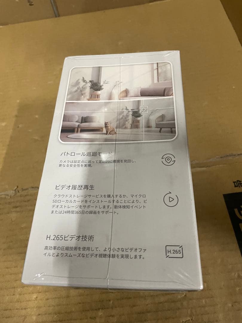 EZVIZ(イージービズ) H7c DUAL 防犯カメラ