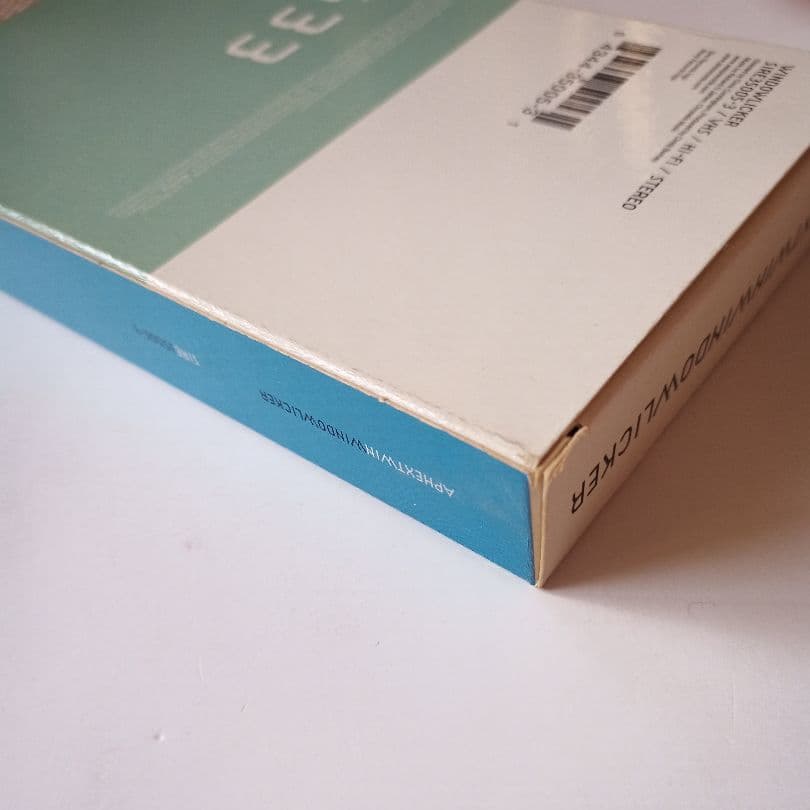 ミュージック VHS Aphex Twin/Windowlicker Warp Records
