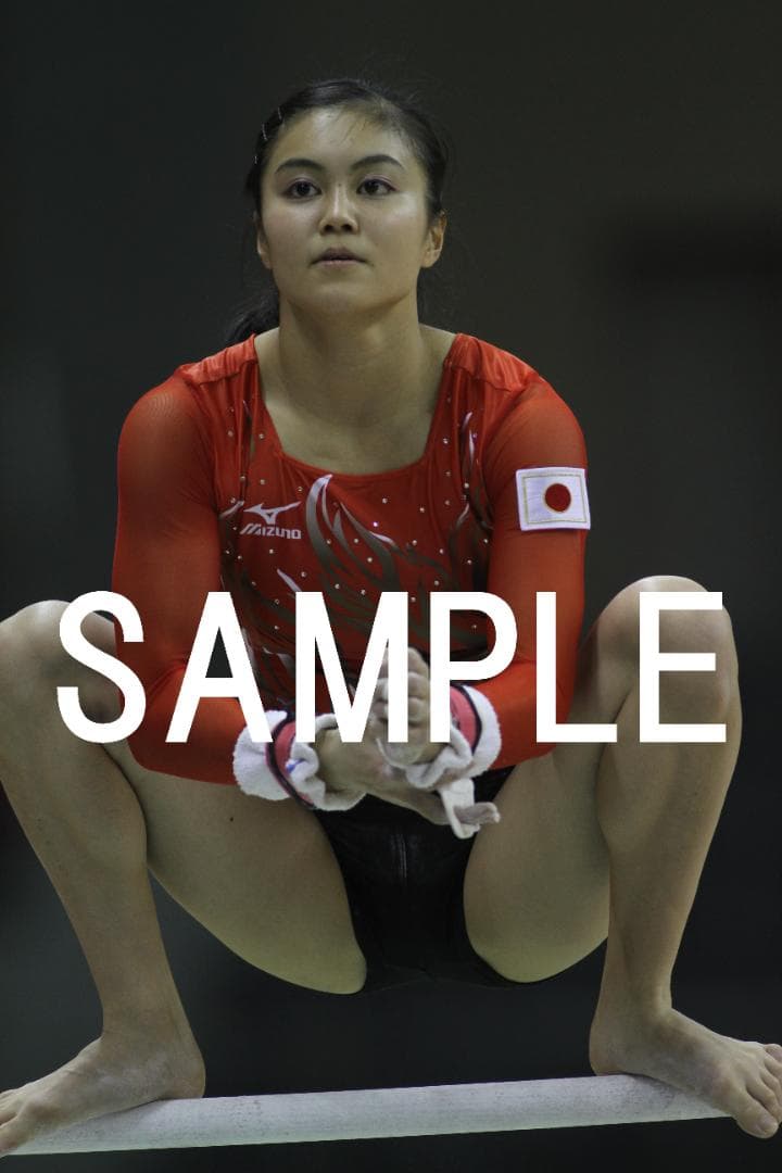 2016年豊田国際体操 日本女子選手画像集　約3,000枚
