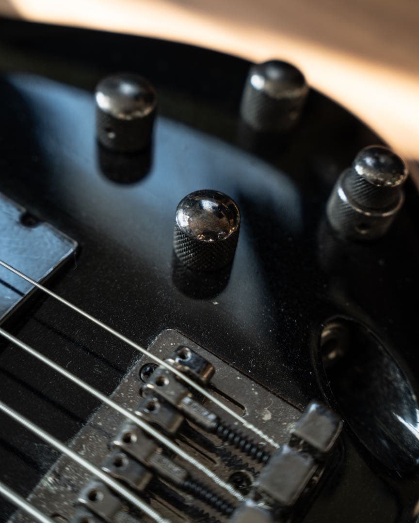 ibanez アイバニーズ５弦ベース+ギグバッグ　ブラック