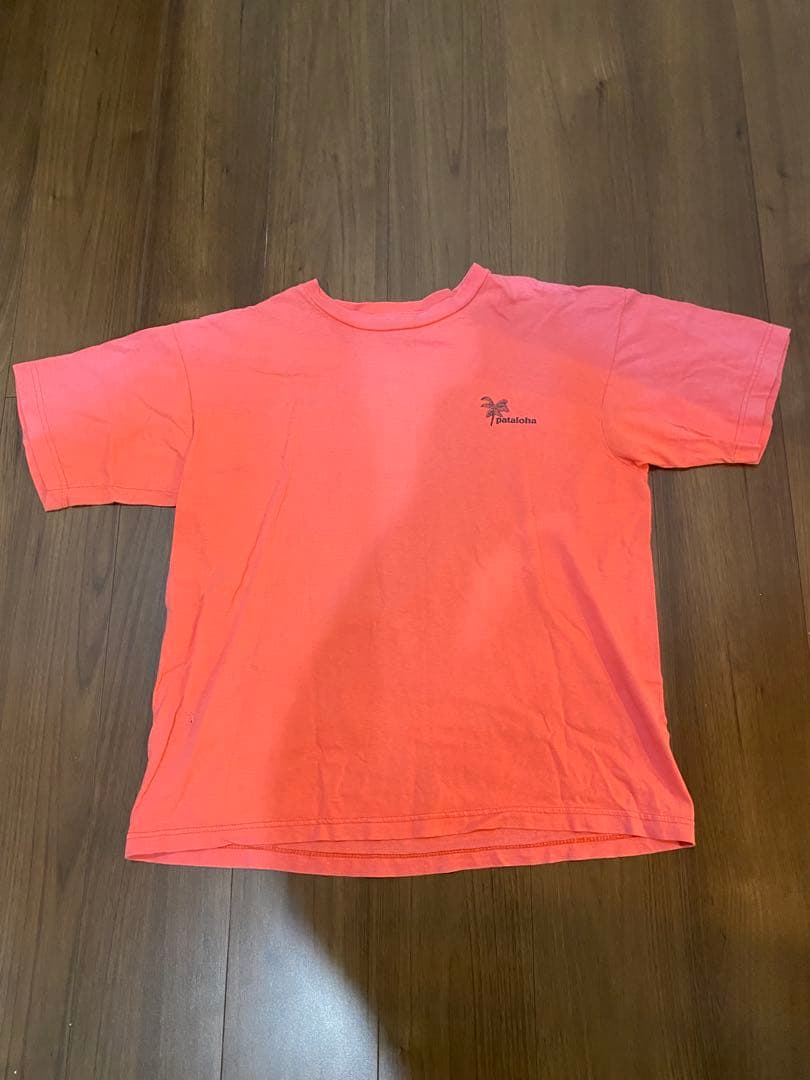 patagonia Tシャツ Lサイズ　雪なしタグ