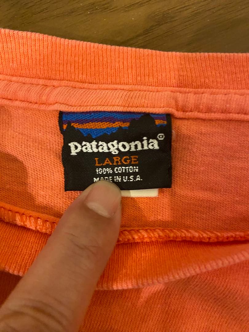 patagonia Tシャツ Lサイズ　雪なしタグ