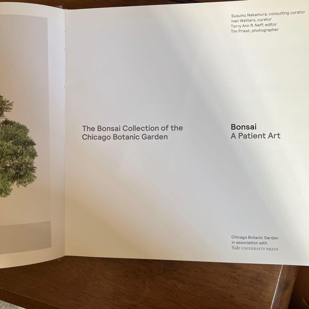 Bonsai: A Patient Art 洋書
