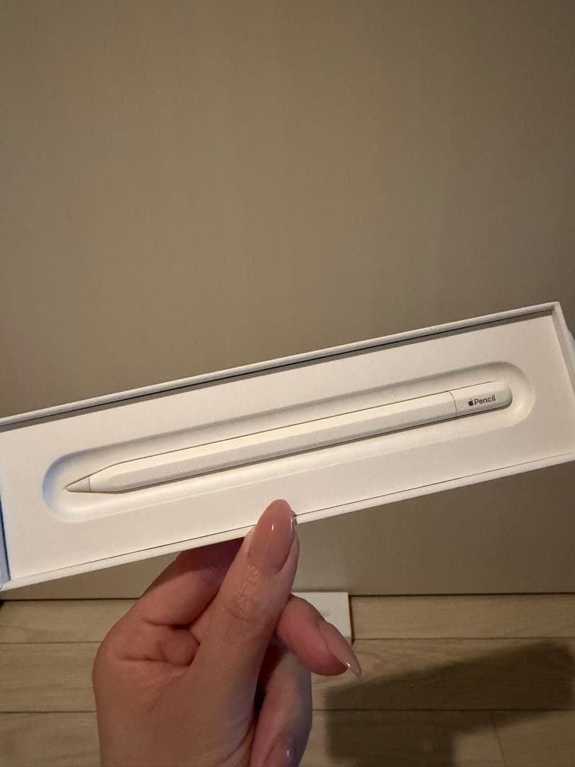 Apple Pencil (USB-C)純正品