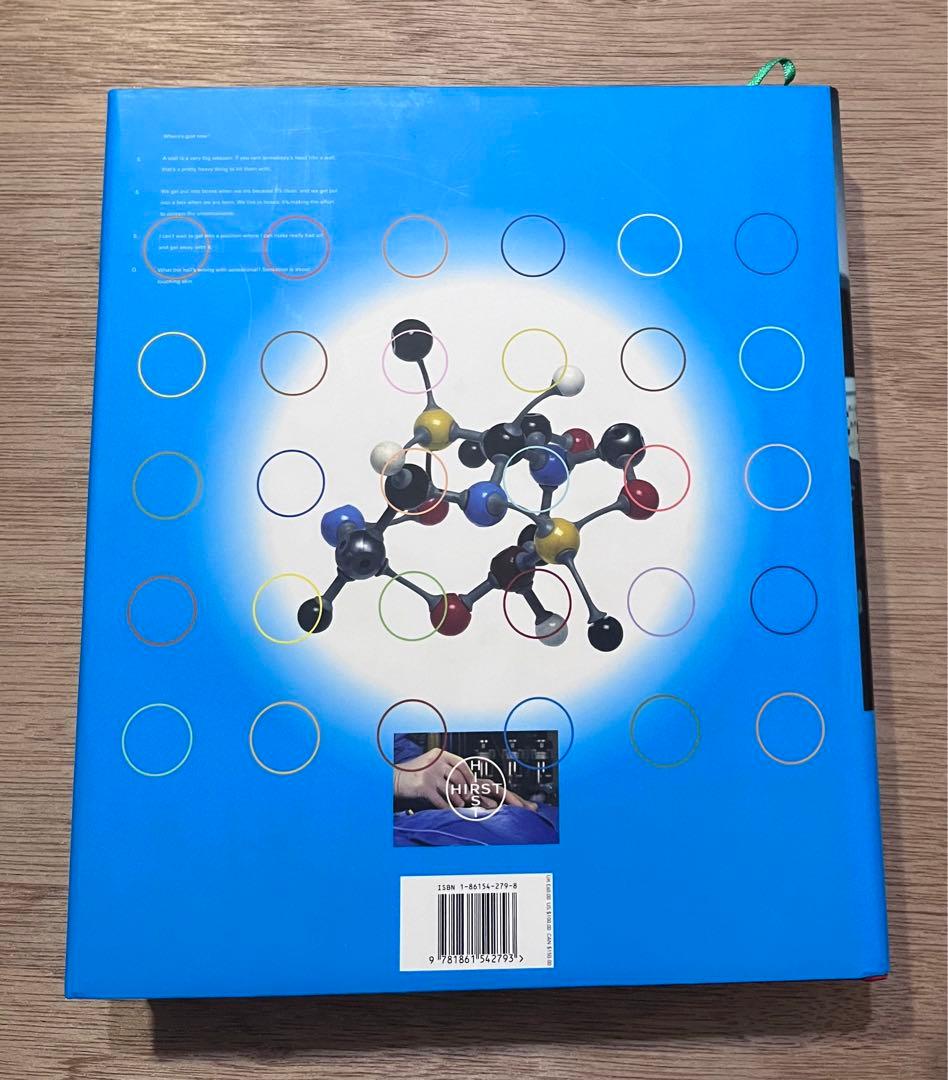 Damienhirst ダミアン・ハースト作品集アートブック　洋書　2005年