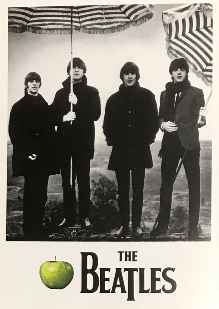THE BEATLES MONO BOX ザ・ビートルズ モノ ボックス 限定盤