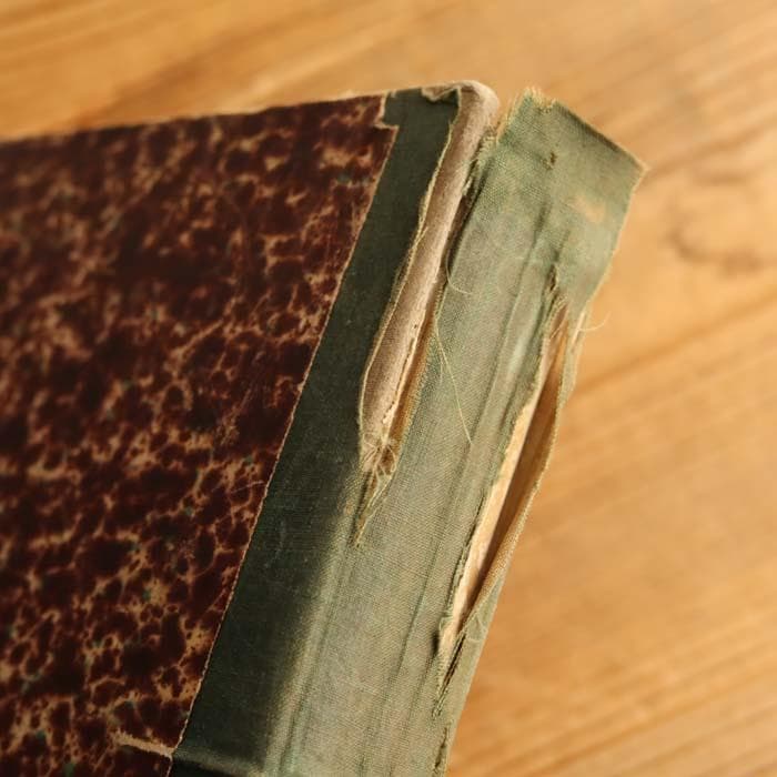 9】1884年 フランス アンティーク 洋書 PRINTEMPS ファッション誌