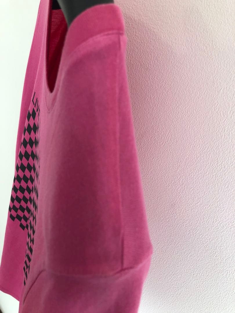 希少・DIOR HOMME ディオールオムTシャツ エディスリマン　エディ期