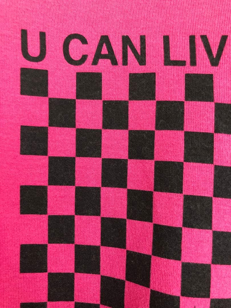 希少・DIOR HOMME ディオールオムTシャツ エディスリマン　エディ期