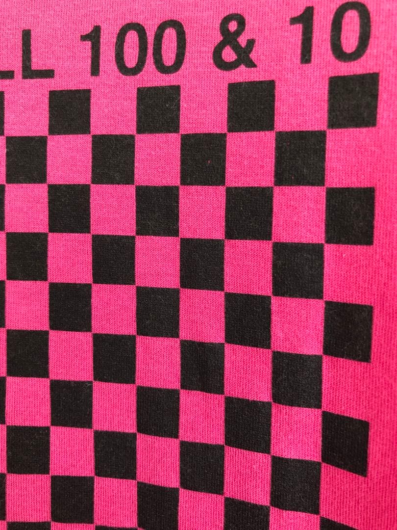 希少・DIOR HOMME ディオールオムTシャツ エディスリマン　エディ期