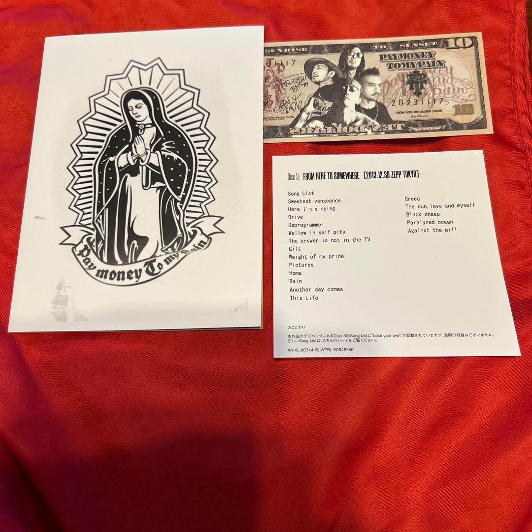 その他 SUNRISE TO SUNSET Pay money To my Pain