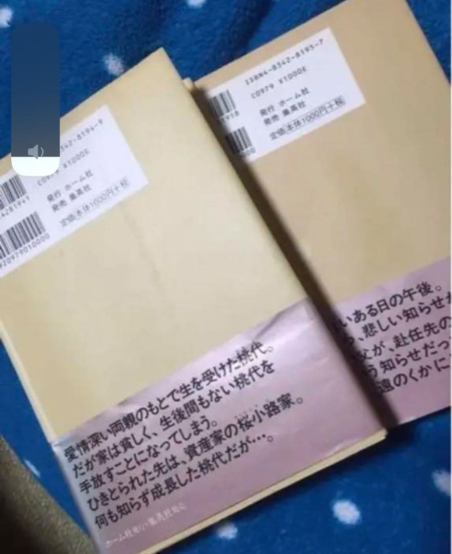 ✨レア✨わたなべまさこ 名作集　おかあさま 全2巻☆