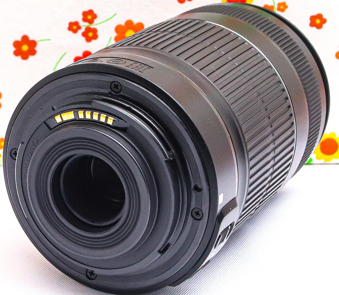 美品 Canon EF-S 55-250mm IS Ⅱ☆手振れ補正付☆望遠レンズ