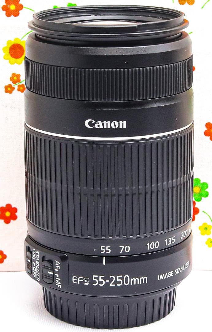 美品 Canon EF-S 55-250mm IS Ⅱ☆手振れ補正付☆望遠レンズ
