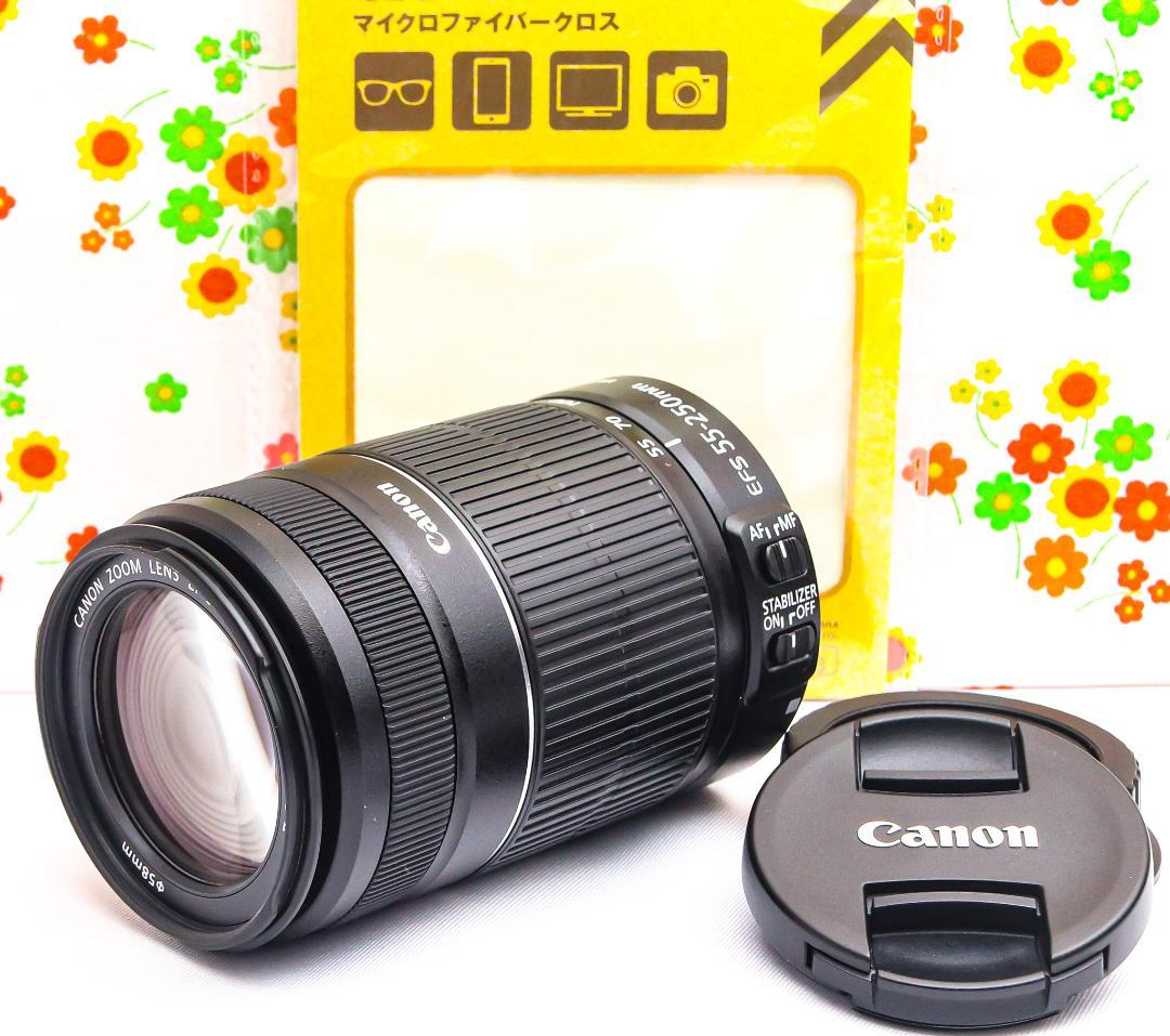 美品 Canon EF-S 55-250mm IS Ⅱ☆手振れ補正付☆望遠レンズ