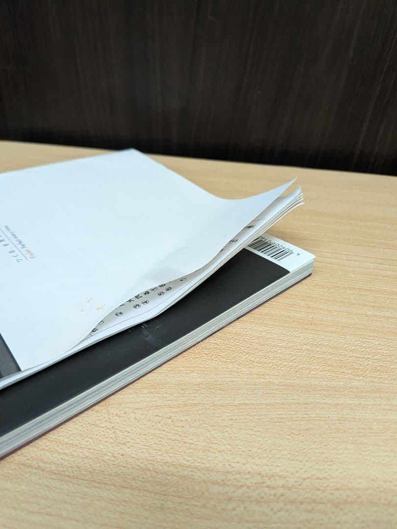 Fissler フィスラー コンフォート 圧力鍋 6.0L
